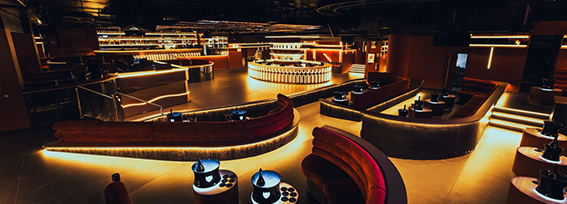 vip nightlife bookings